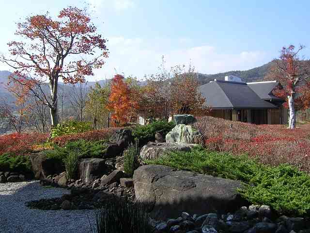 japan in autumn colors